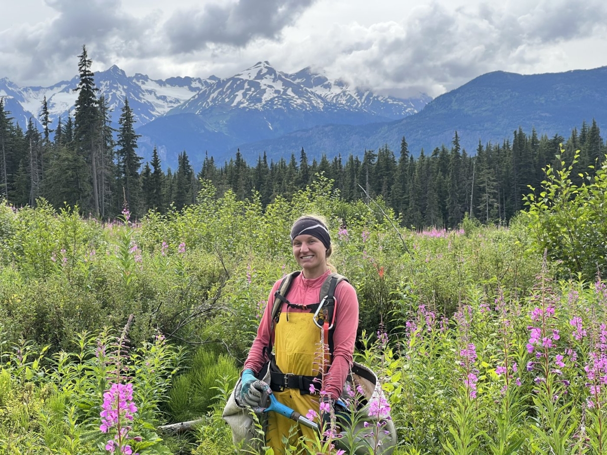 NextImg:She Planted More Than 4,500 Trees in a Day and Found an Audience of Millions