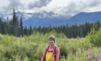 She Planted More Than 4,500 Trees in a Day and Found an Audience of Millions