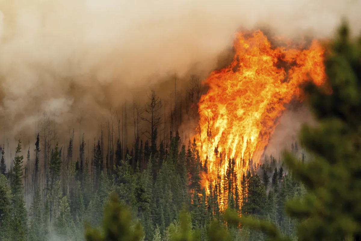 Flames from the Donnie Creek wildfire burn along a ridge top north of Fort St. John, British Columbia, Canada, July 2, 2023. (THE CANADIAN PRESS/AP-Noah Berger)