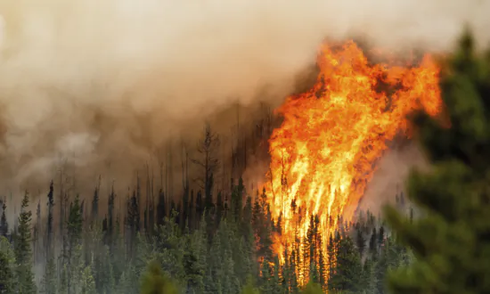 Death of BC Boy Linked to Wildfire Smoke, Health Officials Warn