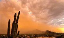 US Hit by Blazing Heat, Smoky Air, Tropical Storm All at Once