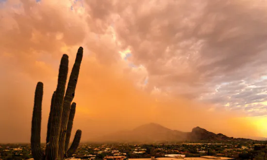 US Hit by Blazing Heat, Smoky Air, Tropical Storm All at Once