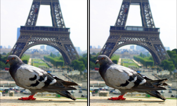 Spot the Difference Daily – Can You Find the 10 Differences?