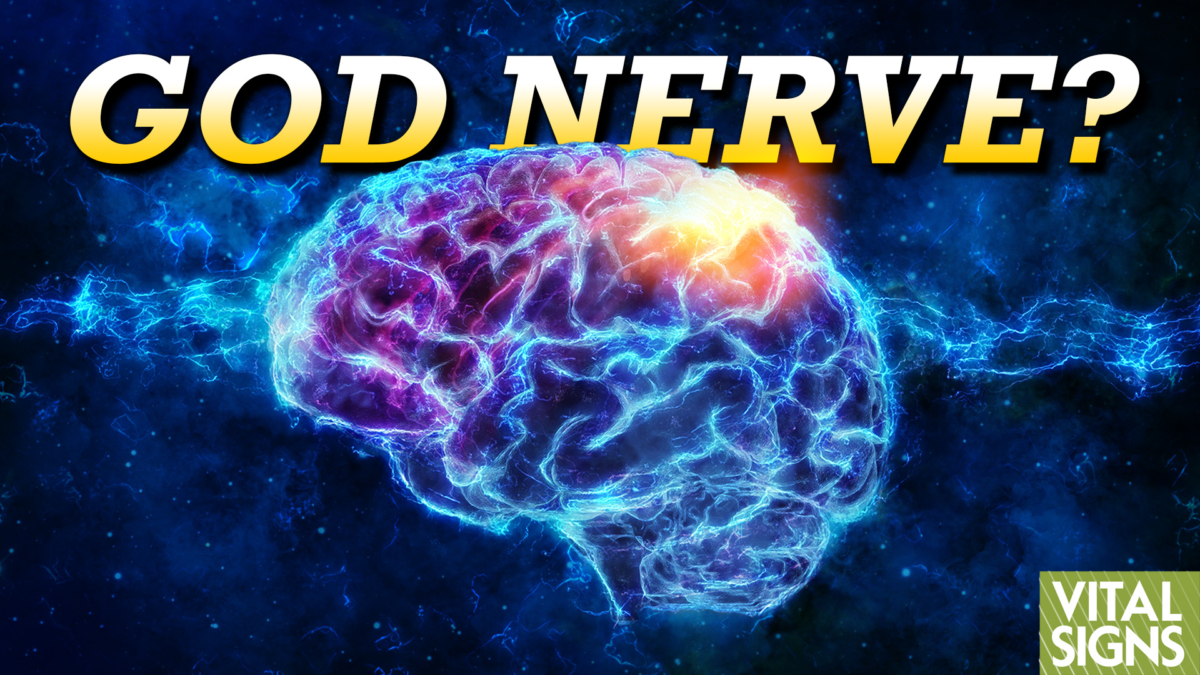 NextImg:What Changes Happen in a Brain That Is Faithful, Spiritual, Mindful?