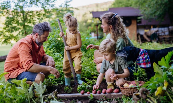 A Year-Round Harvest–Gardening Tips for Growing Throughout the Winter Months