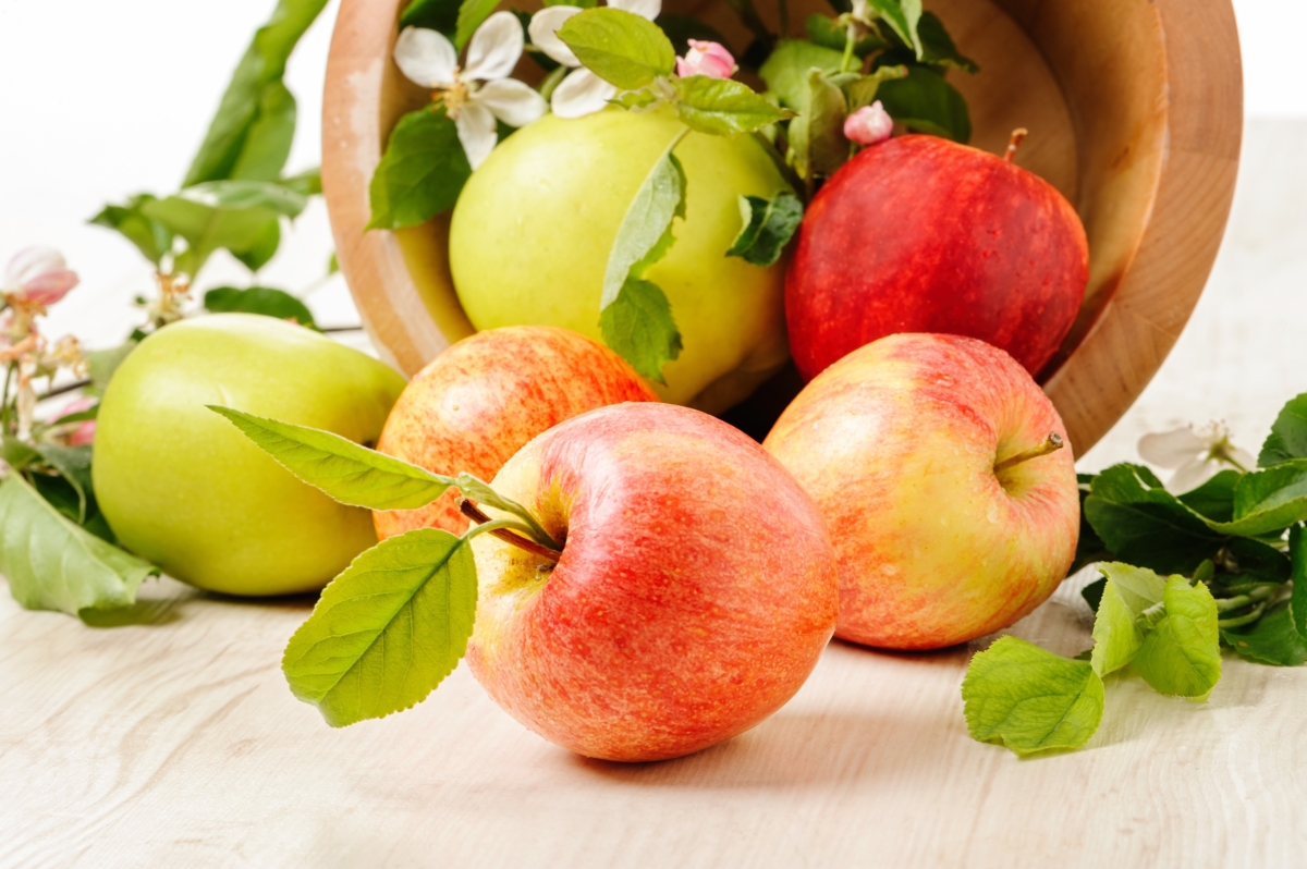 A Guide to Storing Apples at Home Fresh and Delicious
