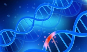 Eat These Foods to Repair and Protect Your DNA