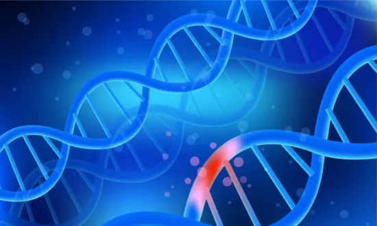 FDA Document Raises Concerns Over a New Gene Editing Therapy