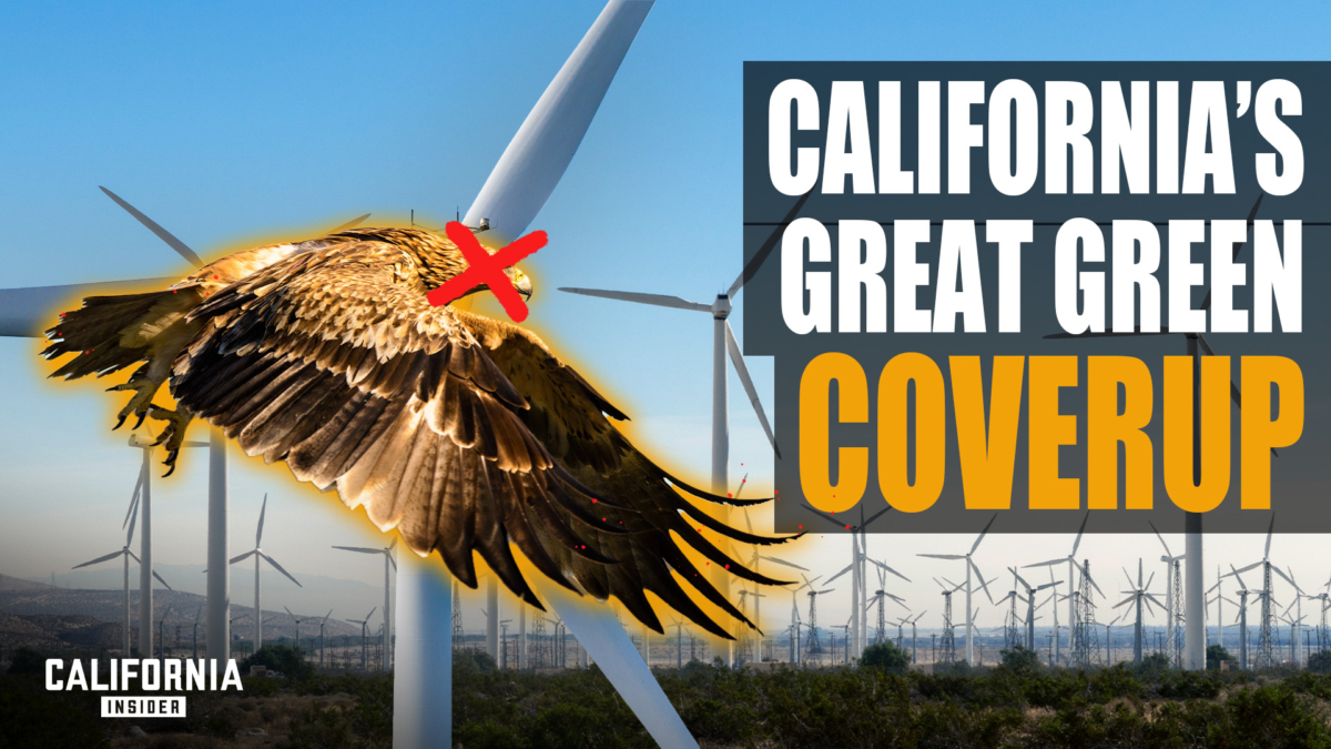 The double-edged sword of California Green Energy | John Baker