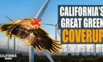 The Double-Edged Sword of California Green Energy | John Baker