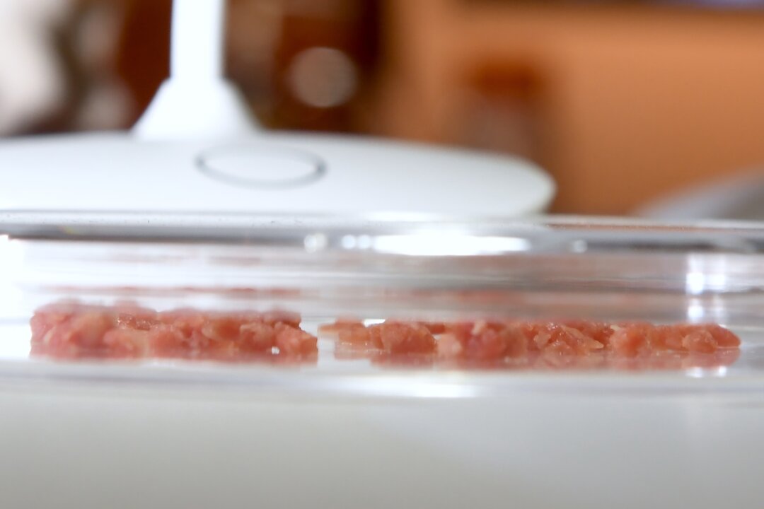Lab-grown meat is presented in the Disgusting Food Museum in Los Angeles, Calif., on Dec. 6, 2018. (Robyn Beck/AFP via Getty Images)