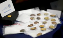 German Police Find Melted-Down Gold After Theft of Celtic Coins, Seek Rest of Treasure