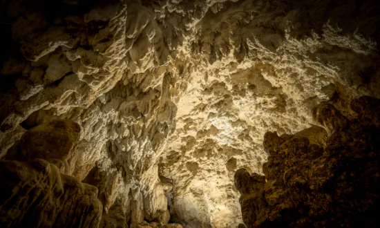 Evidence of Little People Found Throughout the World, But Are They Real?