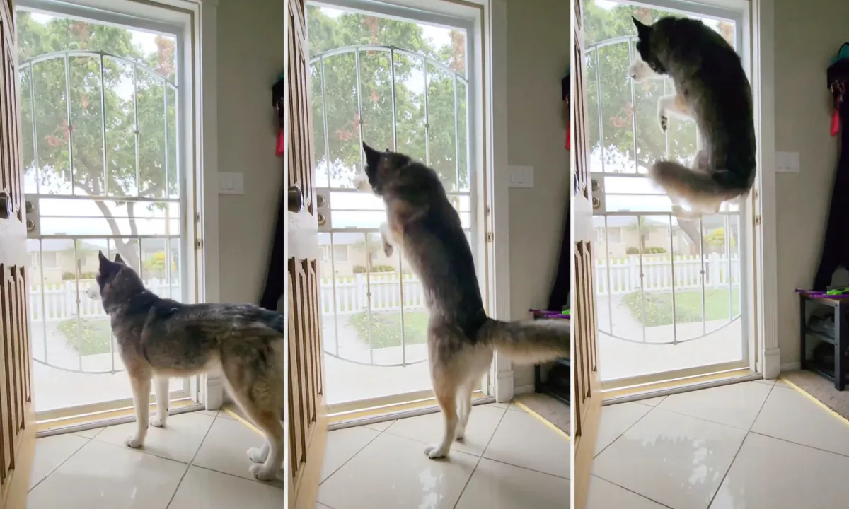 (Courtesy of typicalteyla)