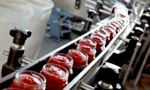 USDA Researchers Contend Ultra-Processed Foods Can Make Up 91 Percent of Healthy Diet