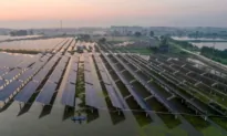 Vulnerabilities in Solar Panels Could Be Exposed by Chinese Hackers: Senator