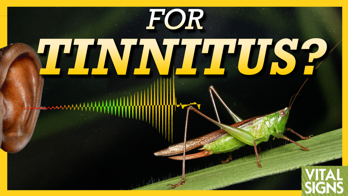 Two Very Different Tinnitus Treatments: Vitamin B12 and Crickets
