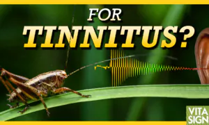 Two Very Different Tinnitus Treatments: Vitamin B12 and Crickets