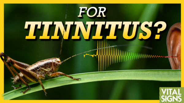 Two Very Different Tinnitus Treatments: Vitamin B12 and Crickets