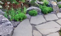 Stone Walkways Are Easy to Lay