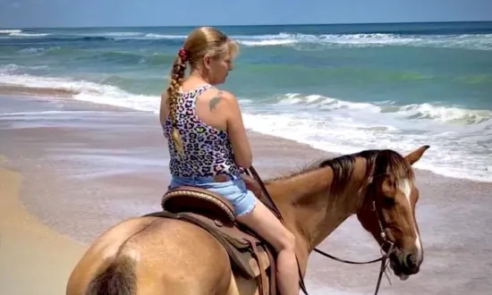 IN-DEPTH: Florida Horse Owners Fear Black Market Slaughterers Who Come in the Night for Highly Prized Meat