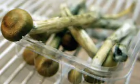 California Group Gathers Signatures for Ballot Measure to Decriminalize Magic Mushrooms