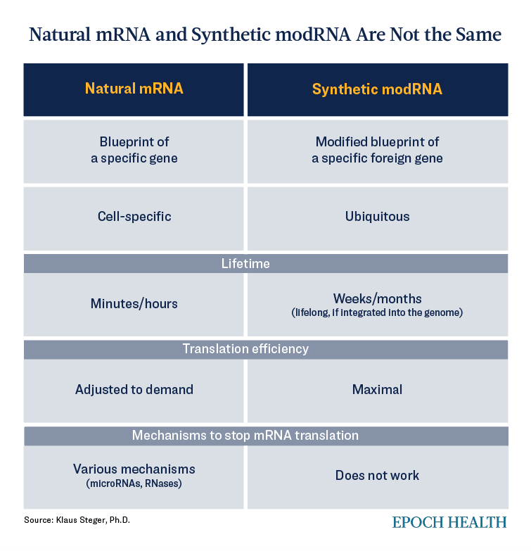 L'mRNA naturale e il modRNA sintetico non sono la stessa cosa. (The Epoch Times)