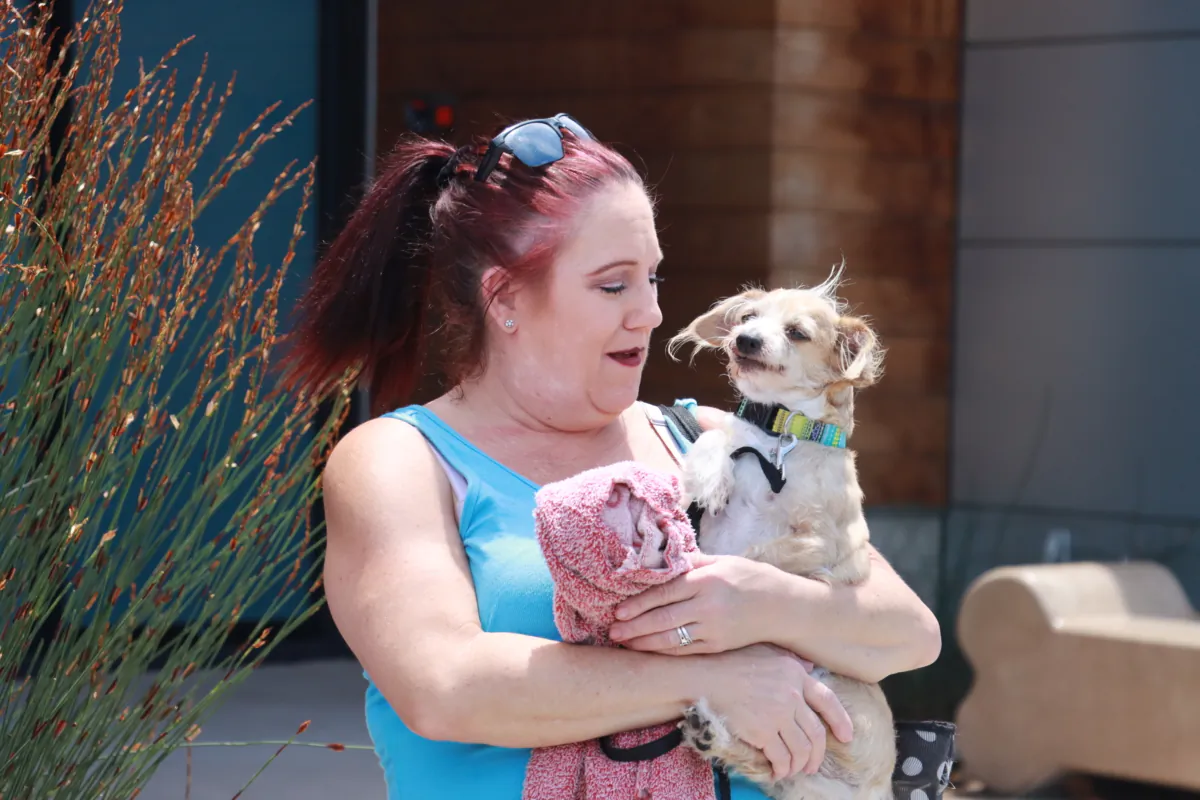 Ryder, a 9-year-old Chihuahua-terrier mix, that went missing in Las Vegas on July 3, 2023, reunites with his owner Debbie Ferris at the San Diego Humane Society in San Diego on July 21, 2023. (Courtesy of San Diego Humane Society)