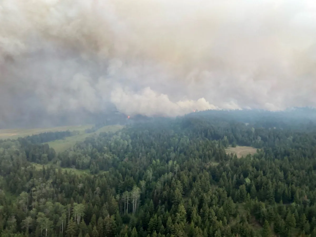 The BC Wildfire Service continues to respond to the Ross Moore Lake wildfire located approximately 13 kilometres south of Kamloops, British Columbia is shown in this handout image provided by the BC Wildfire Service. (The Canadian Press/HO-BC Wildfire Service)
