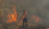 British Tourists Evacuated From Wildfire-Hit Greek Island on Repatriation Flights