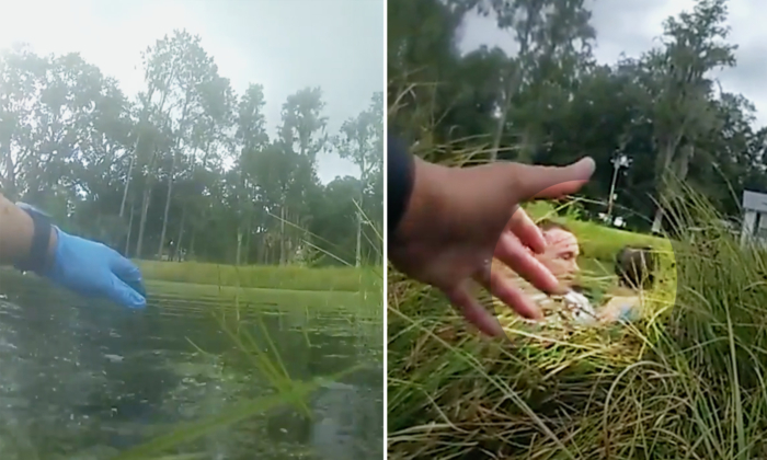 Florida Deputies Rescue Nonverbal Child With Autism From Snake-Infested Pond: VIDEO