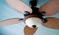 Solved: The Mystery of Ceiling Fan Direction