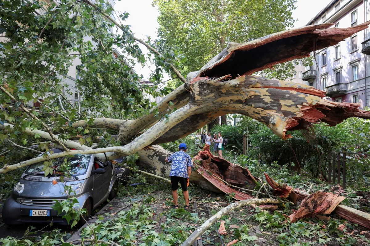 People stand amidst fallen trees following thunderstorms and torrential rain in Milan on July 25, 2023. (Claudia Greco/Reuters)