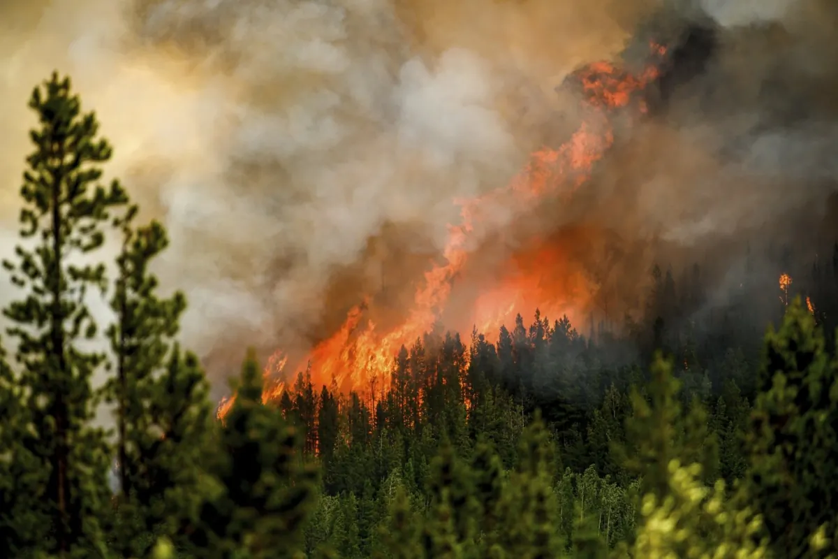 Flames from the Donnie Creek wildfire burn along a ridge top north of Fort St. John, B.C., on July 2, 2023. (The Canadian Press/AP-Noah Berger)