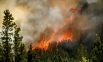 BC Crews Hopeful of Forecasted Heavy Rain Dampening Massive Donnie Creek Wildfire