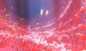 More Than a Gut Feeling: How Gut Microbiome Influences Mental Health