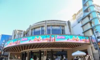 ‘Barbenheimer’ Box Office Success Breeds Hope for Hollywood