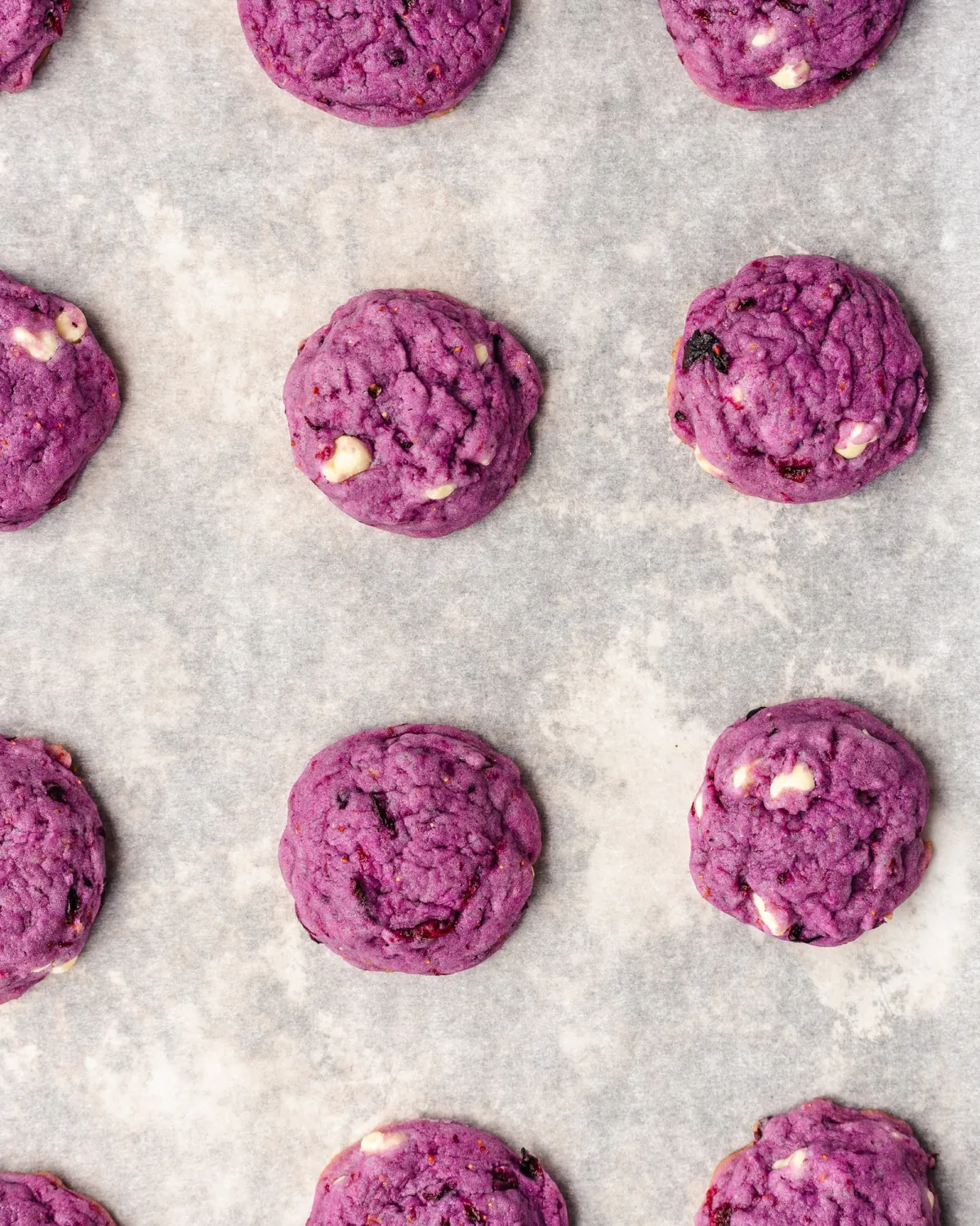 These naturally blue two-bite blueberry cookies are studded with blueberries and white chocolate chips. (Meleyna Nomura/TNS)
