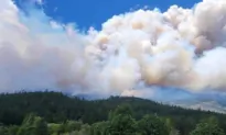 BC Firefighters Bolstered by International Help Work to Tame Dozens of Wildfires