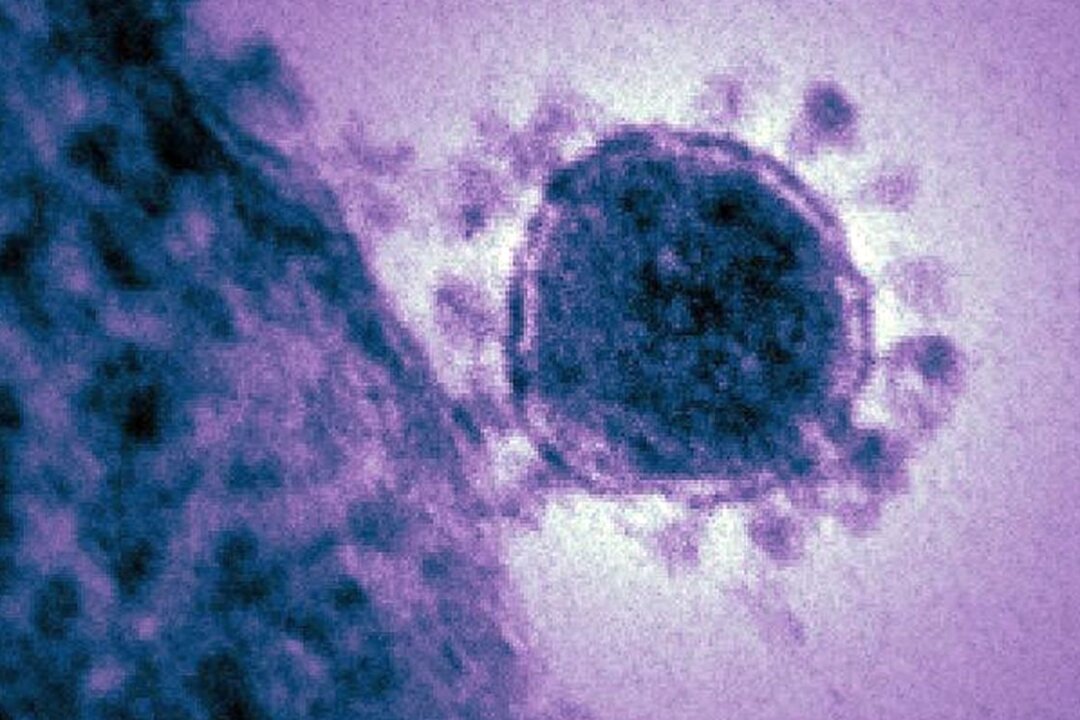 An electron micrograph of MERS-CoV. (US NIAID)
