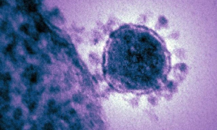 Potentially Deadly Virus Emerges—WHO Responds