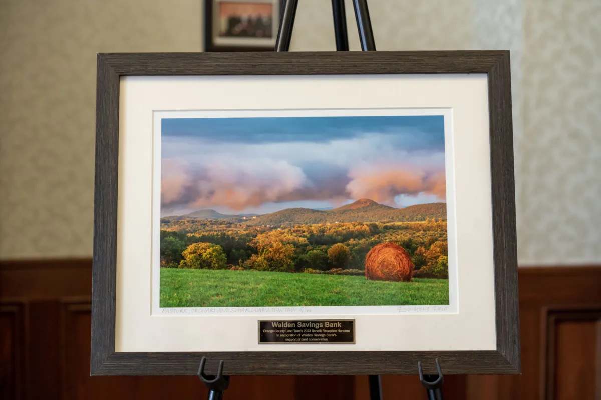 A picture of Sugar Loaf Mountain at Walden Savings Bank in Montgomery, N.Y., on July 18, 2023. (Cara Ding/The Epoch Times)