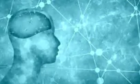 Study Shows Devastating Impact of COVID-19 Pandemic Measures on Mental Health of College Students