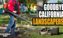 50,000 Landscapers and Gardeners Threatened With Job Loss by New California Law | Jay Martinez