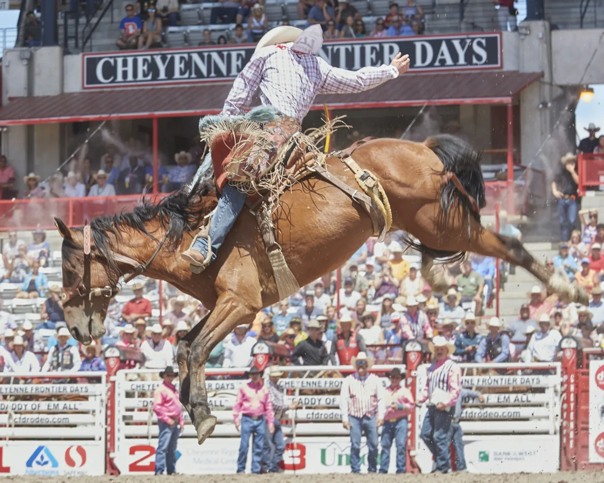 Rodeo at Cheyenne Frontier Days Festival (Courtesy of Visit Cheyenne)