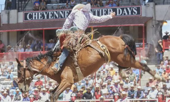 Taking the Kids: To the World’s Biggest Outdoor Rodeo and Western Celebration