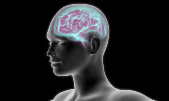 Smoking Shrinks the Brain, and Quitting Doesn’t Restore Size: Study
