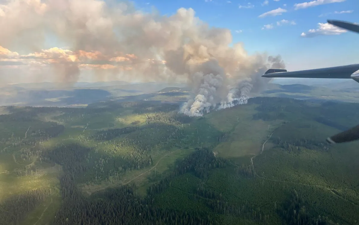 A wildfire located north of Gibraltar Mine, approximately 20 kilometres south of Kersley, B.C., is shown in this handout image provided by the BC Wildfire Service. (The canadian Press/HO-BC Wildfire Service)
