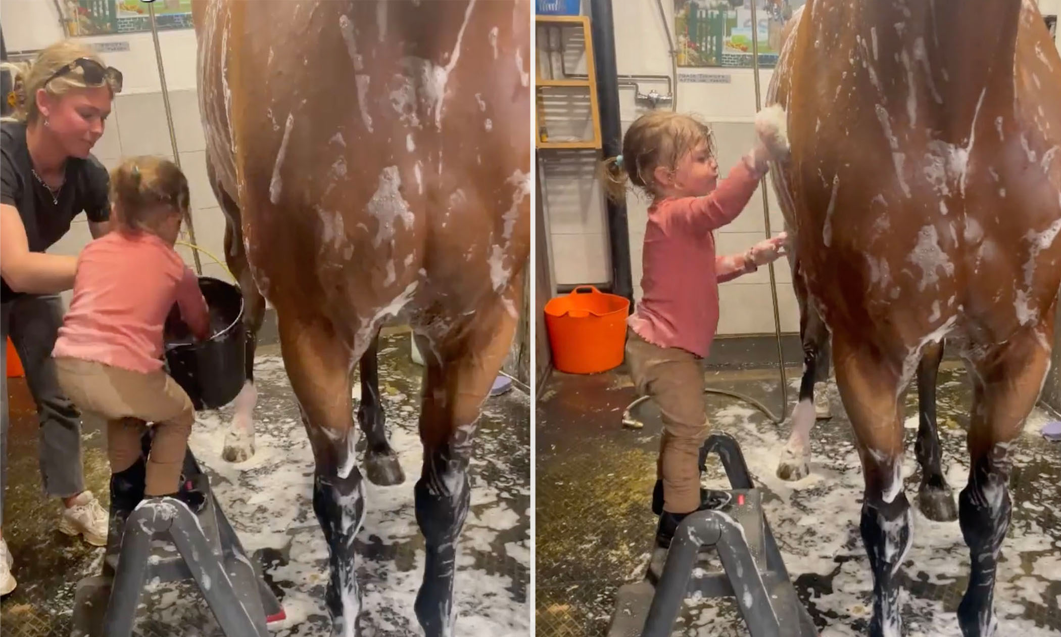 Screenshot of a toddler helping clean a horse. 