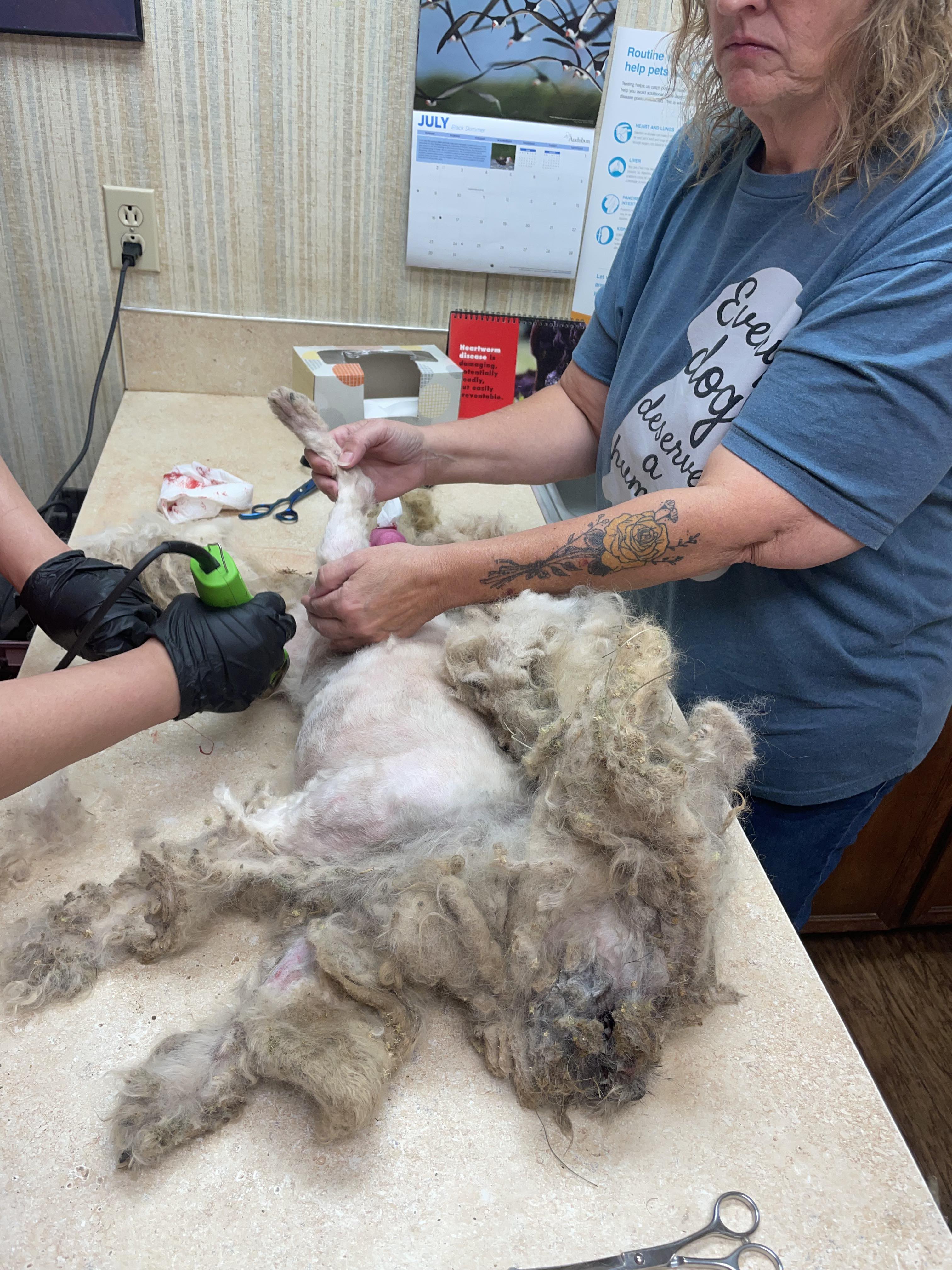 Matt before he is shaved. 